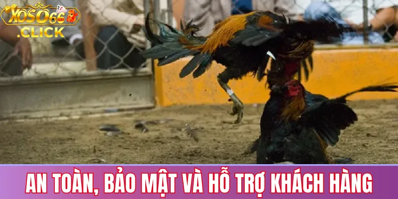 An toàn, bảo mật và hỗ trợ khách hàng