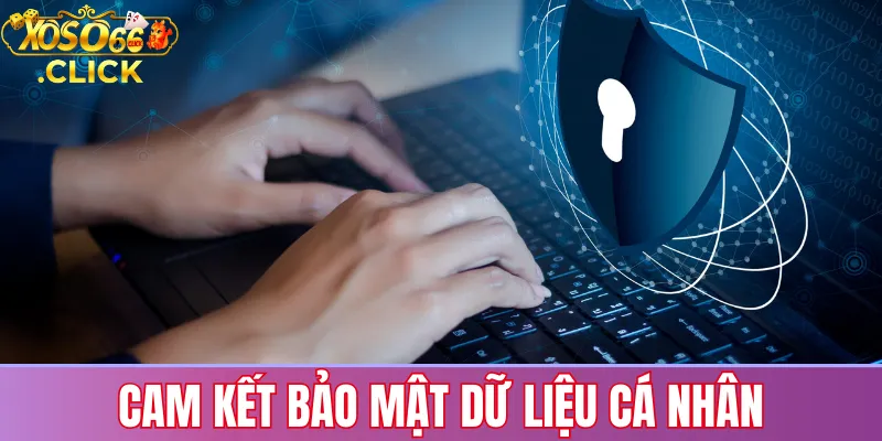 Cam Kết Bảo Mật Dữ Liệu Cá Nhân