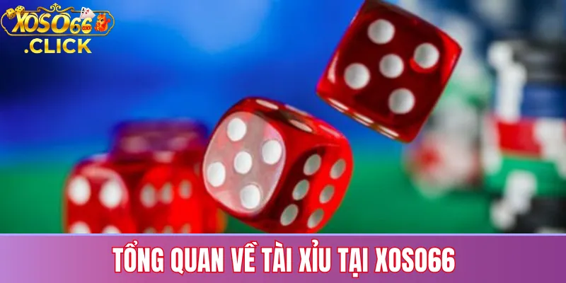 Tổng quan về tài xỉu tại xoso66