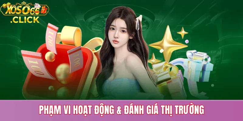 Phạm Vi Hoạt Động & Đánh Giá Thị Trường
